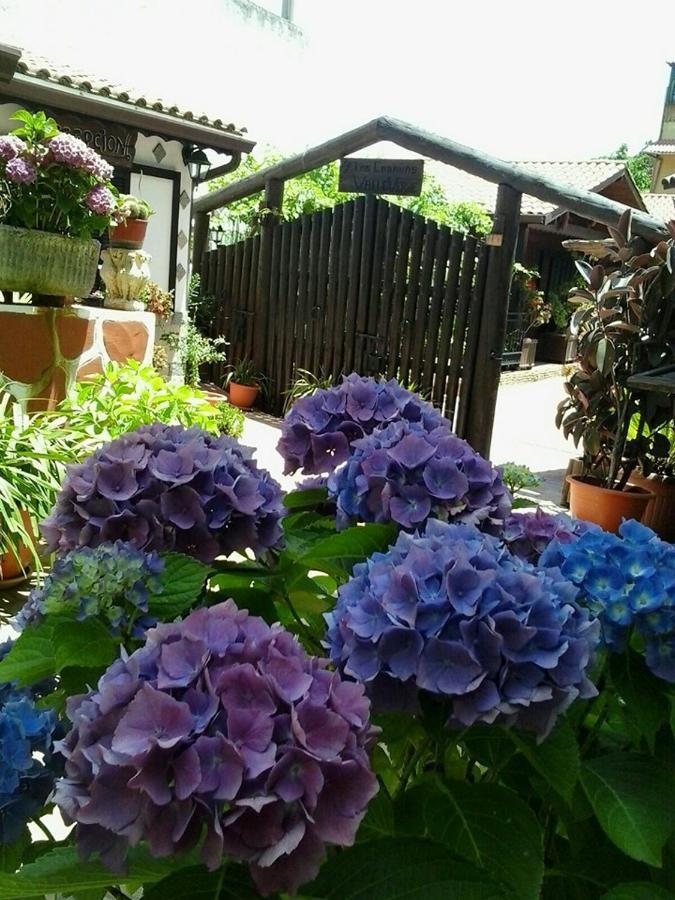 Cabanas Valle Verde Moya  Zewnętrze zdjęcie