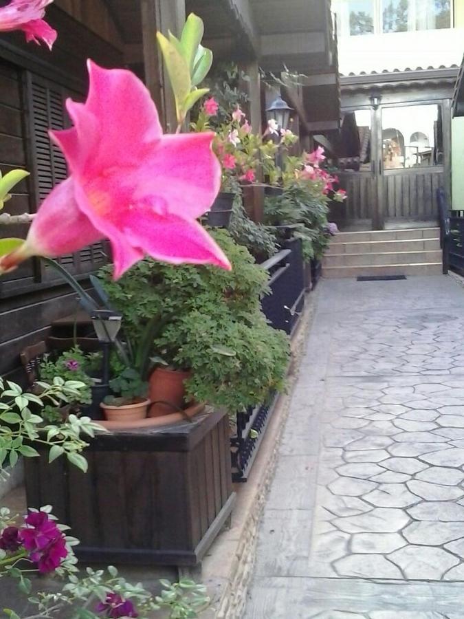 Cabanas Valle Verde Moya  Zewnętrze zdjęcie